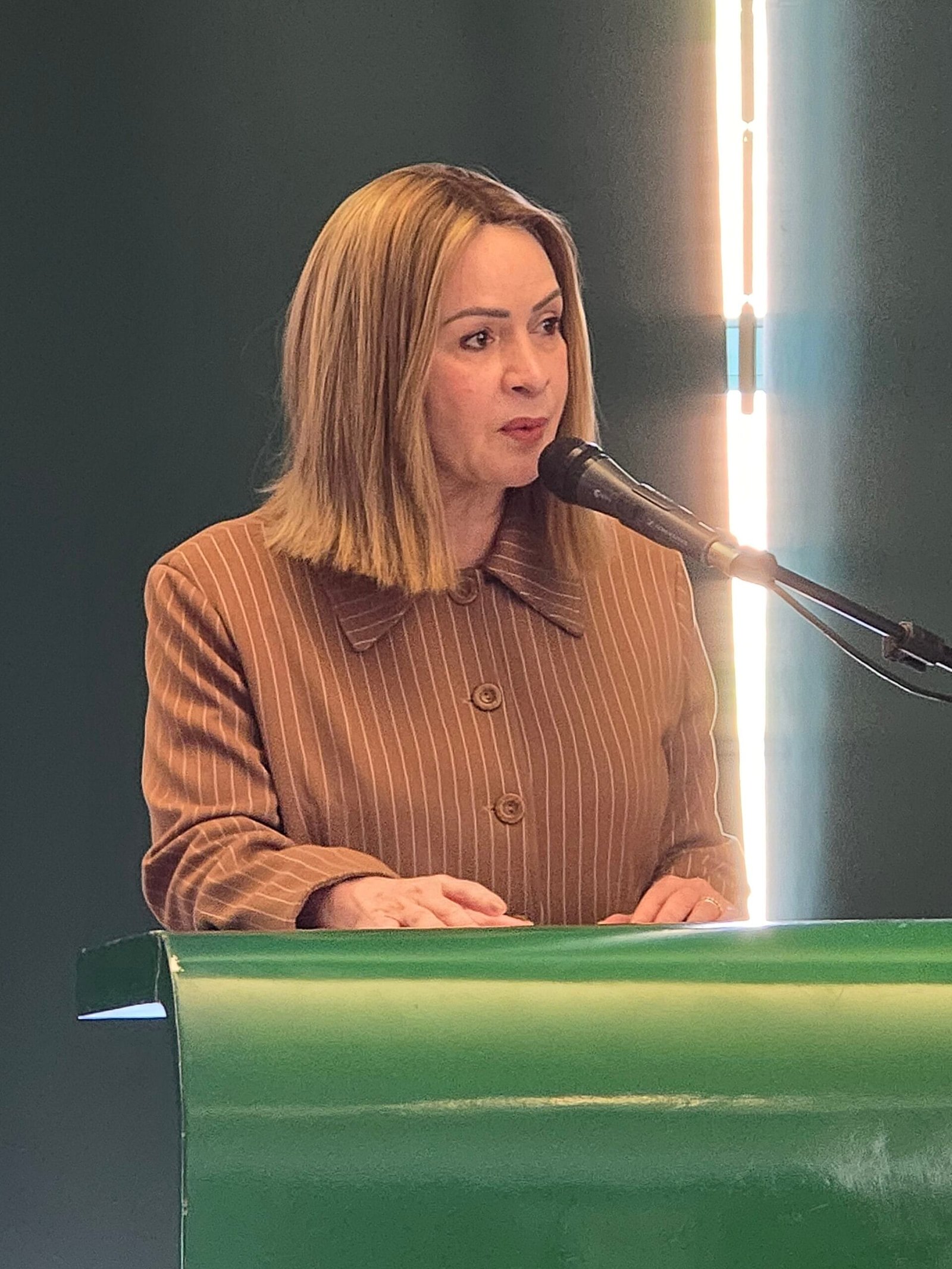 Deputada Socorro Neri coordenando diálogo parlamentar durante o painel de bioeconomia nos países amazônicos, Brasília