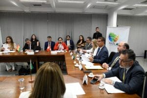 Reunião do Conselho Diretor, em Brasília