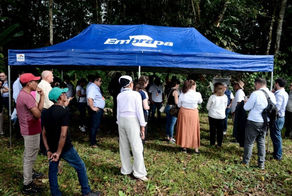 Visita de campo à Empresa Brasileira de Pesquisa Agropecuária (Embrapa)
